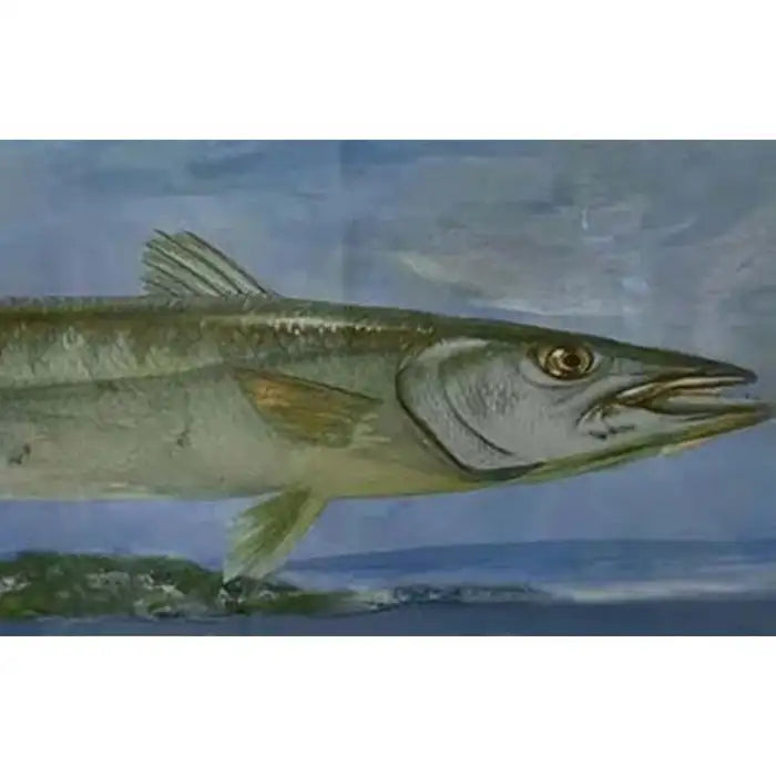 Barracuda Rising Print, Framed and Signed 2000s