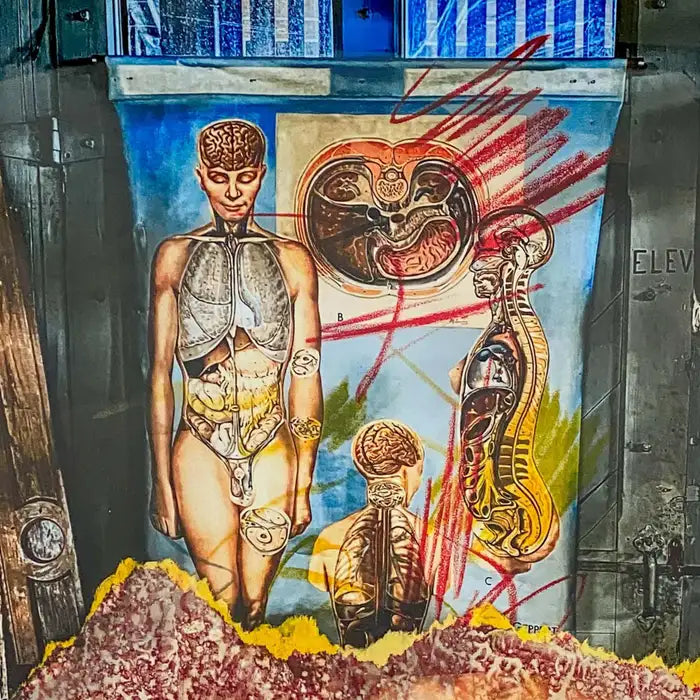 Contemporary Digital Print Titled " Med School Doodle", Matted and Framed 2000s
