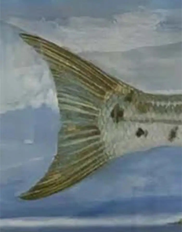Barracuda Rising Print, Framed and Signed 2000s
