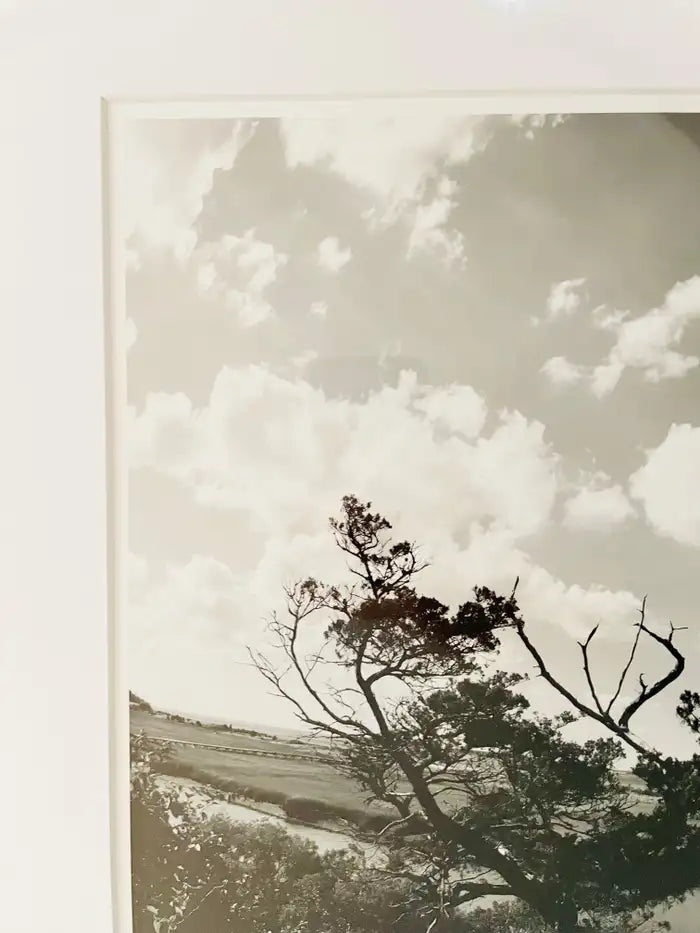 Impressionistic Photography Print of a Tree by Luciana Pampalone Limited Edition 2012