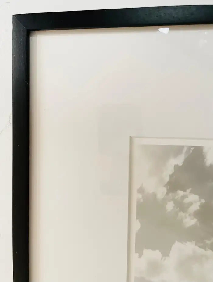 Impressionistic Photography Print of a Tree by Luciana Pampalone Limited Edition 2012