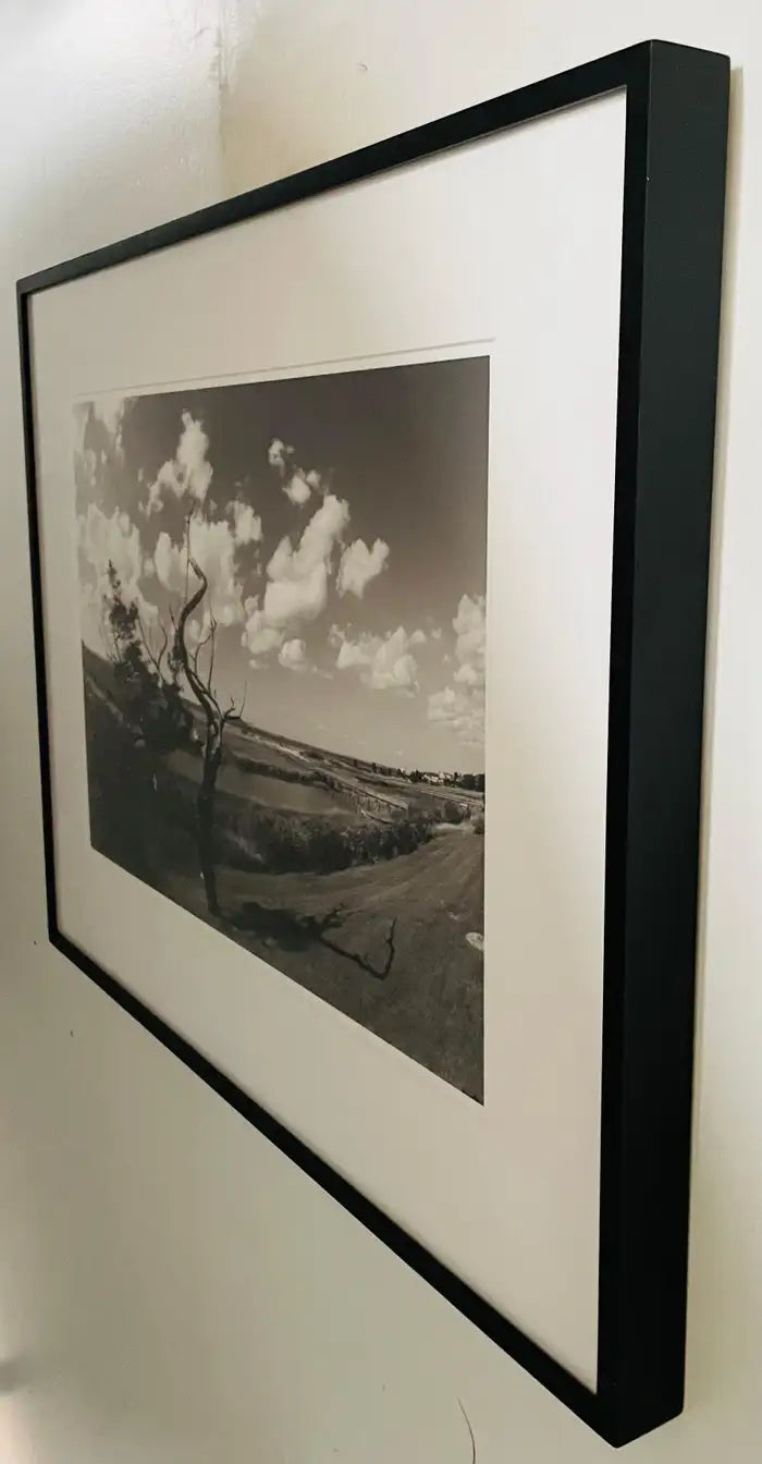 Impressionistic Photography Print of a Tree by Luciana Pampalone Limited Edition 2012