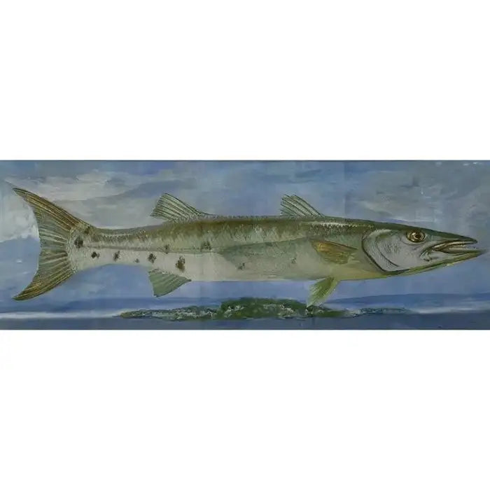 Barracuda Rising Print, Framed and Signed 2000s