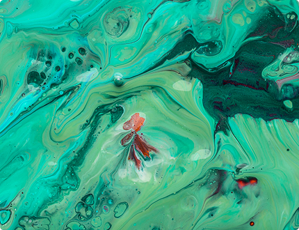Echoes of Earth: Through Natural Forms