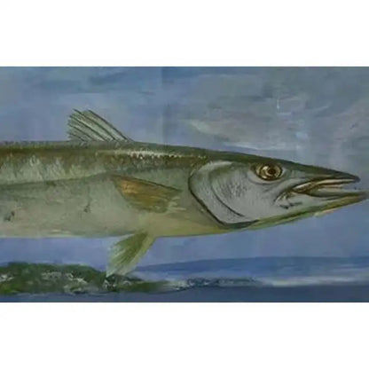 Barracuda Rising Print, Framed and Signed 2000s