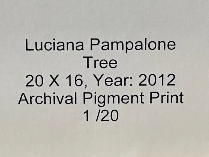 Impressionistic Photography Print of a Tree by Luciana Pampalone Limited Edition 2012