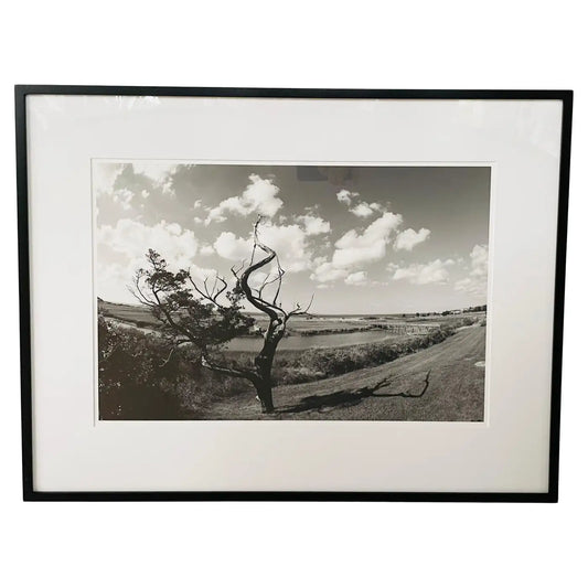 Impressionistic Photography Print of a Tree by Luciana Pampalone Limited Edition 2012