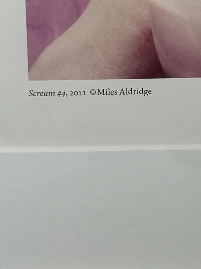 Miles Aldridge Virgin Mary. Supermarkets. Popcorn Pop Art Poster, Signed & Framed 2011